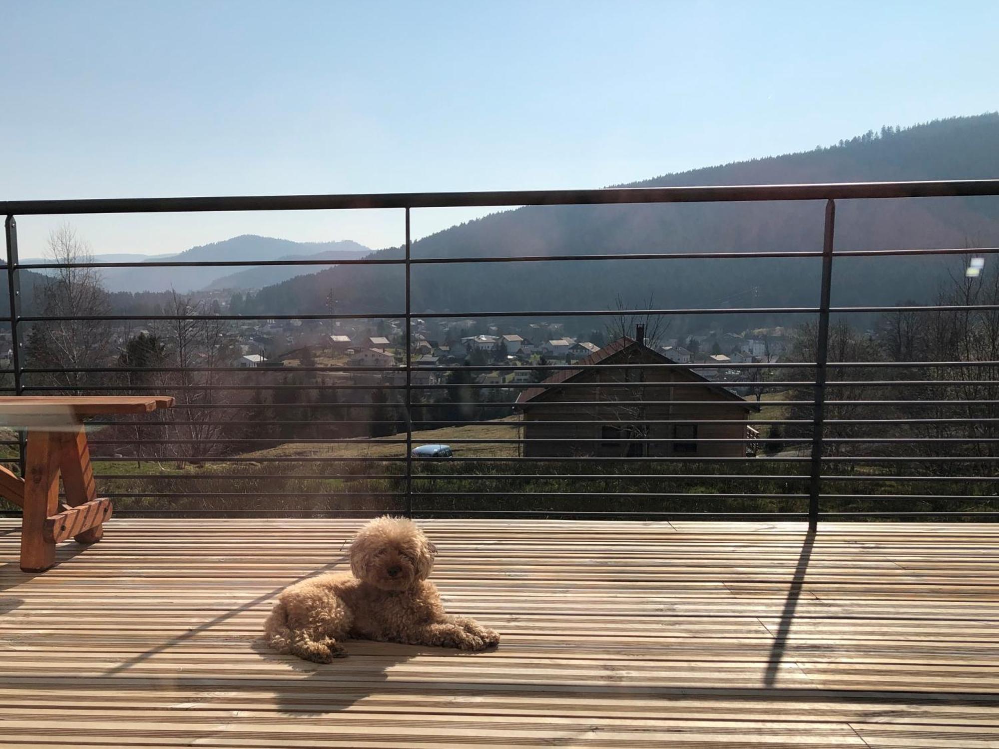 La Renouee Βίλα Gérardmer Εξωτερικό φωτογραφία